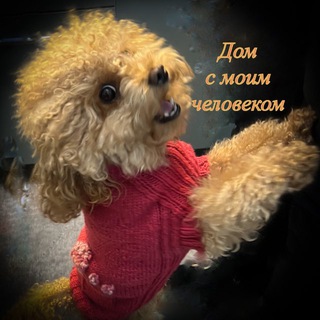 Дом с моим человеком