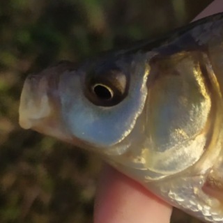 Рыбалка 🐟