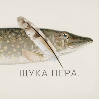 Щука пера