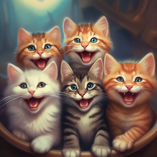 Котенька 🐈