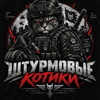 ШТУРМОVЫЕ КОТИКИ