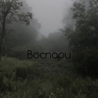 В О С П А Р И