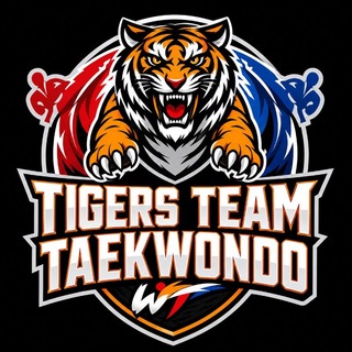 •°TIGERS TEAM°•