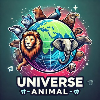 Universe Animal