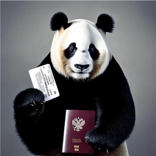 Визы весь Мир 🌍