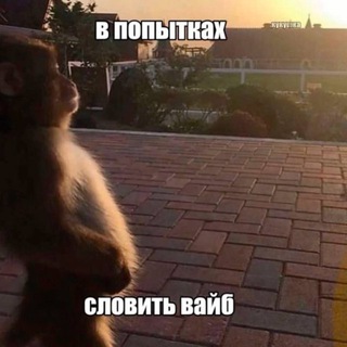 слова и кадры