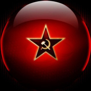СВОдка